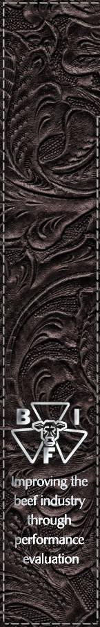 Left side images