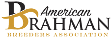 American Brahman Breeders Association
