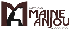 American Maine Anjou Association