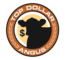 Top Dollar Angus