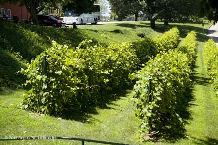 05vinery