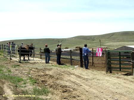 08-DSCN3647