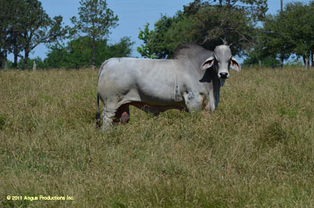 2012-0421-d-r1-f21-kf