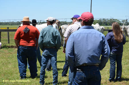 2012-0421-d-r2-f11-kf