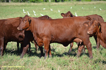 2012-0421-d-r3-f07-kf