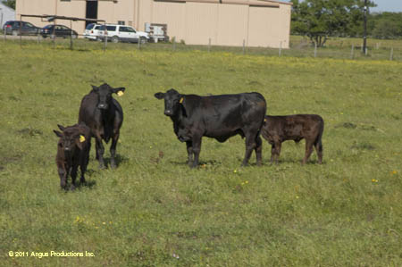 2012-0421-d-r1-f39-ts