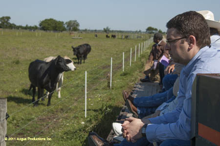 2012-0421-d-r1-f41-ts