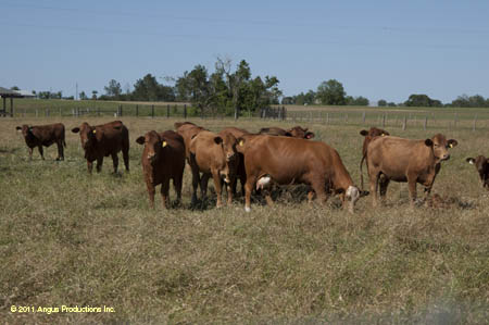 2012-0421-d-r3-f03-ts