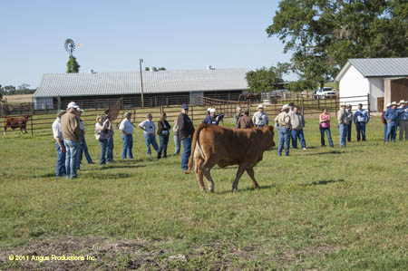 2012-0421-d-r3-f37-ts