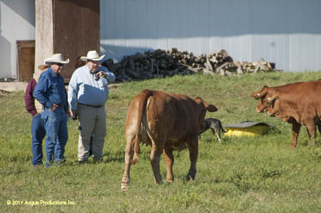 2012-0421-d-r3-f38-ts