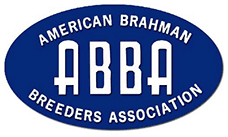 American Brahman Breeders