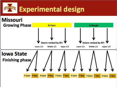 Hansen experimental design graphic